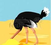 Ostrich with head in the sand - GraphicsFactory