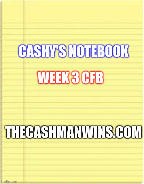 cashman meme casnys notebook wk 3.jpeg