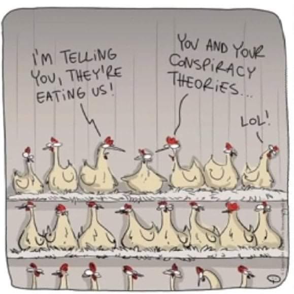 chicken conspriacy.jpeg