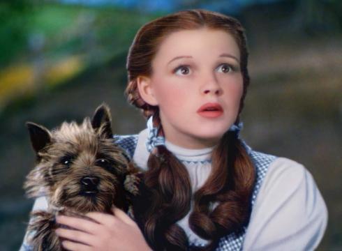 dorothy-and-toto.jpg