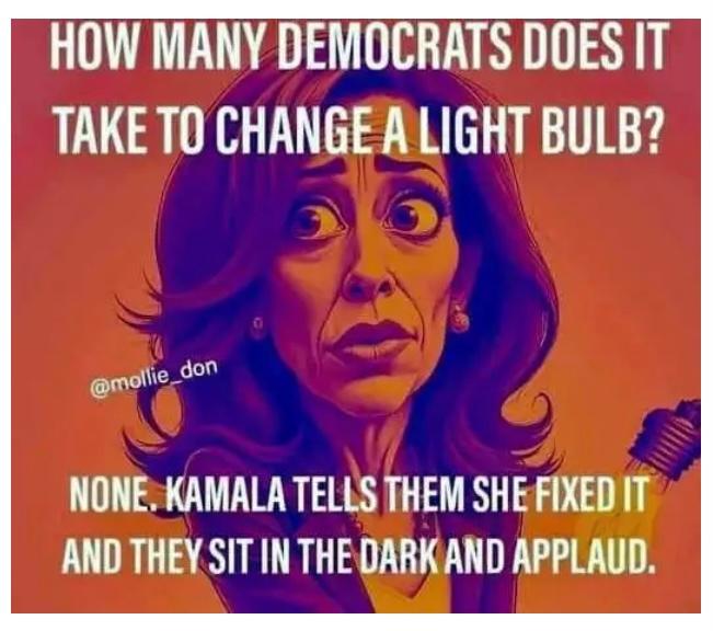 kamala lighy bulb.jpeg