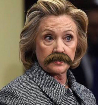 Screenshot 2024-07-21 at 18-49-27 hillary in disguise - Google Search.png