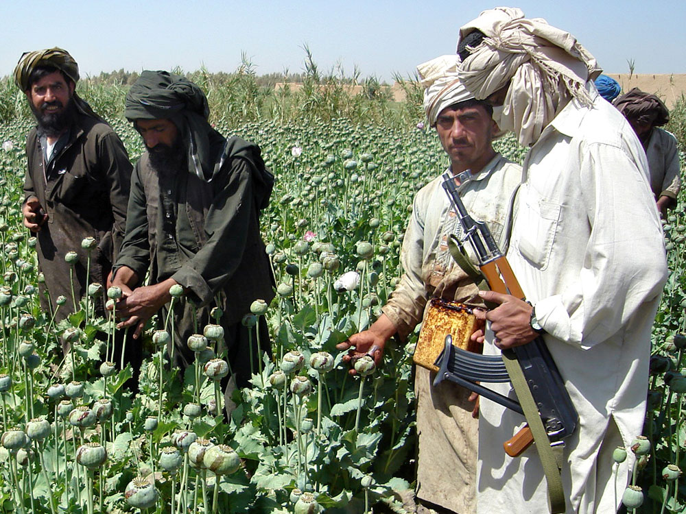 taliban-4ba57af3d0b1efeb782d81db4fef86c316992c68.jpg