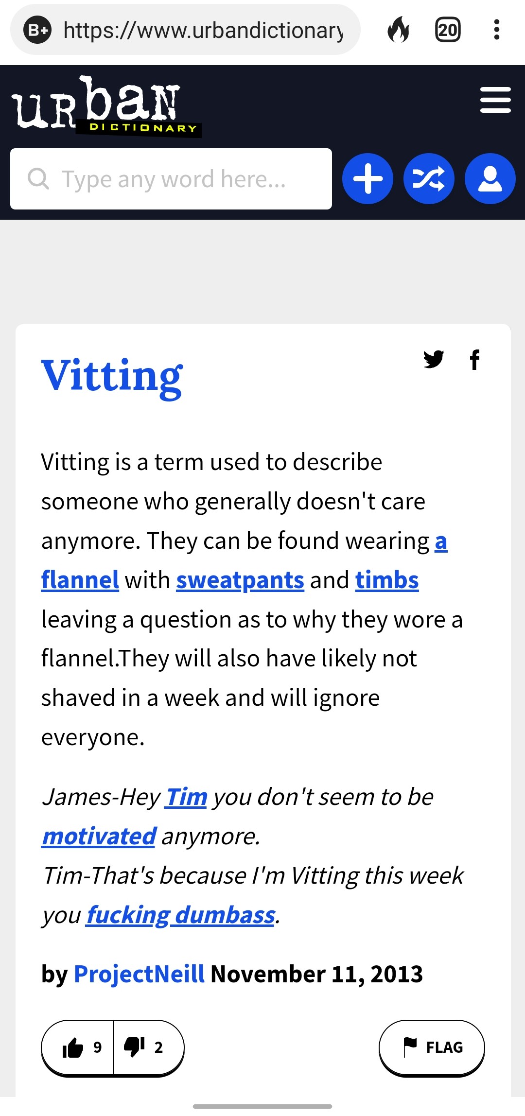 Urban Dictionary - vitting.jpg